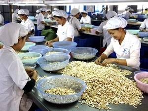 Vietnam, EU kick off 4th FTA round of negotiations - ảnh 1